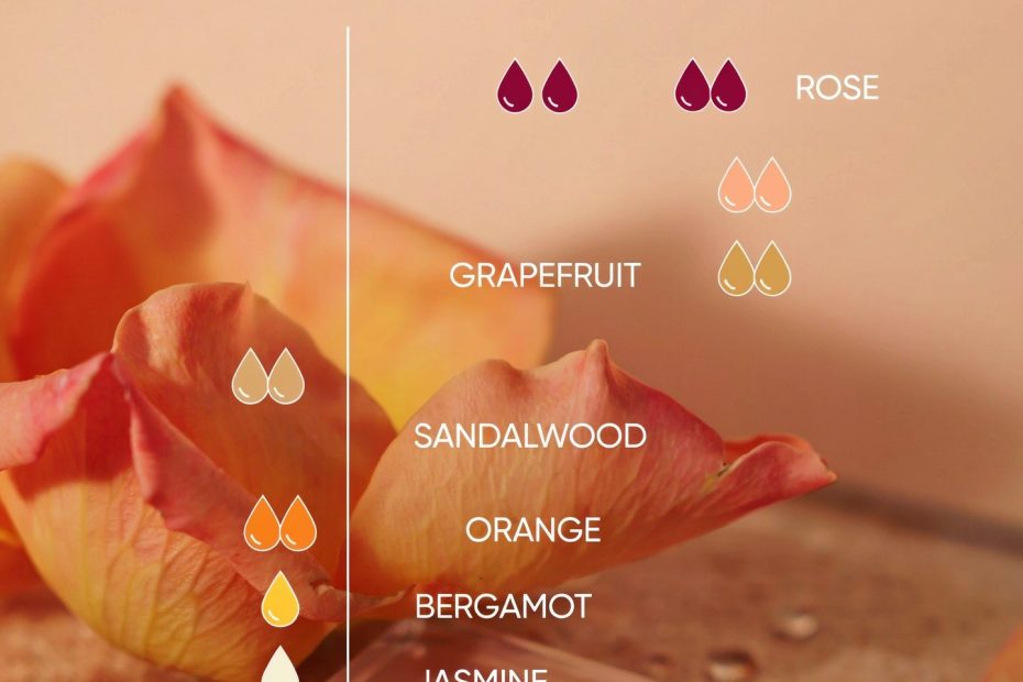 Peach Rose Essential Oil Blend | Uplifting Floral Aroma for Your Home | DIY Diffuser Recipe